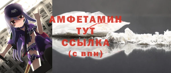 стаф Ельня