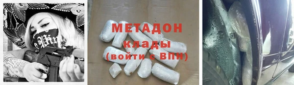 стаф Ельня
