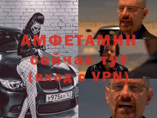стаф Ельня
