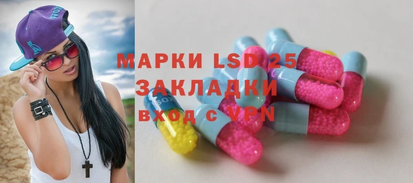 стаф Ельня