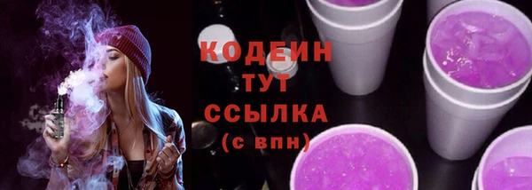 стаф Ельня