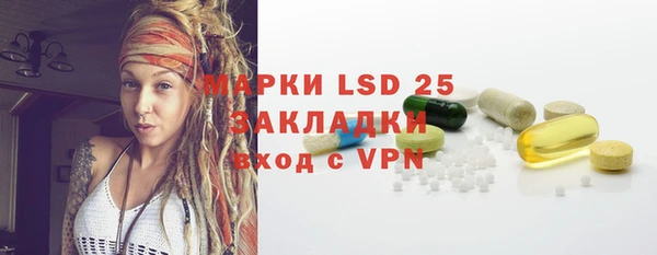 стаф Ельня