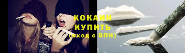 стаф Ельня