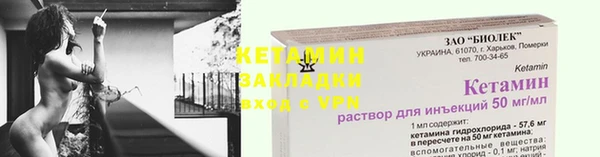 стаф Ельня