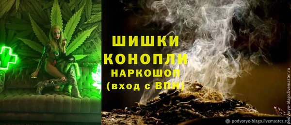 стаф Ельня