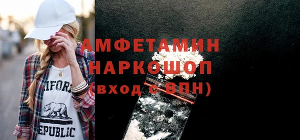стаф Ельня