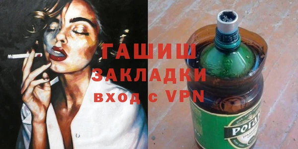 стаф Ельня