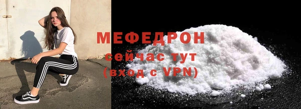 стаф Ельня