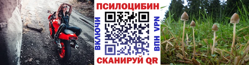 Галлюциногенные грибы мицелий  Купить  Троицк 