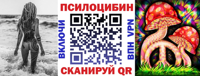 Галлюциногенные грибы Psilocybe Троицк